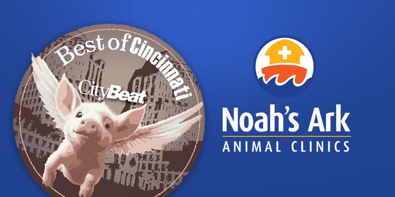 Best Of Cincinnati Award-Winning Veterinary Care
